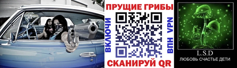 Галлюциногенные грибы GOLDEN TEACHER Яровое